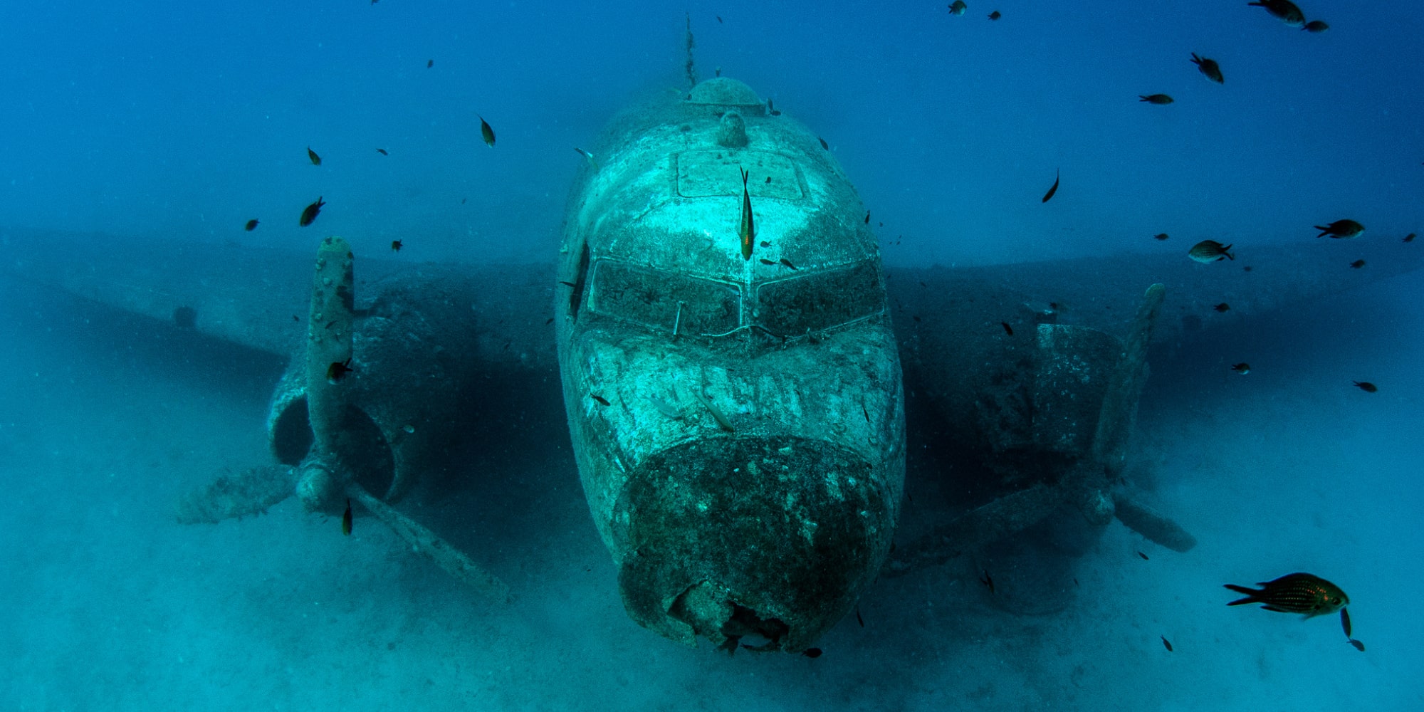 Le triangle des bermudes