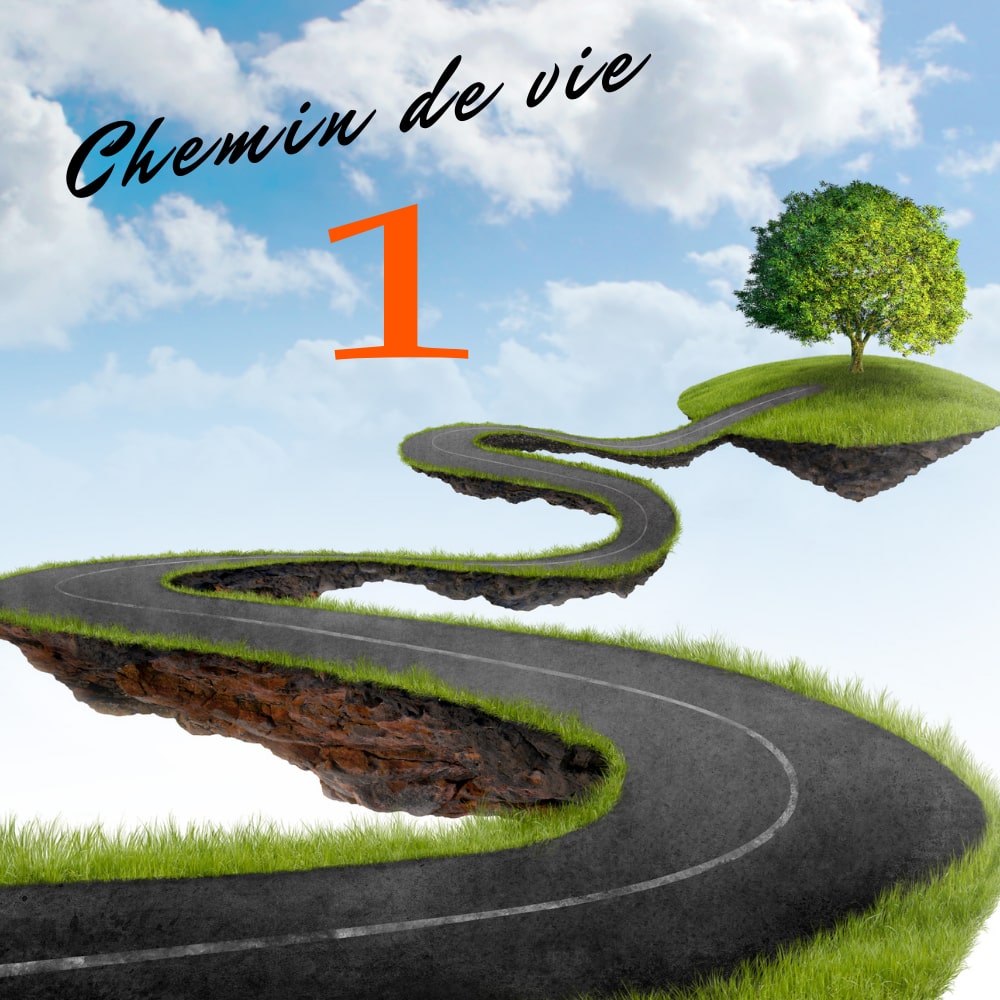 Chemin de vie 1