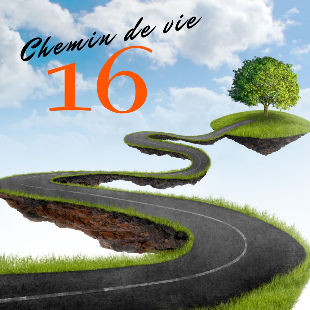 Chemin de vie 16