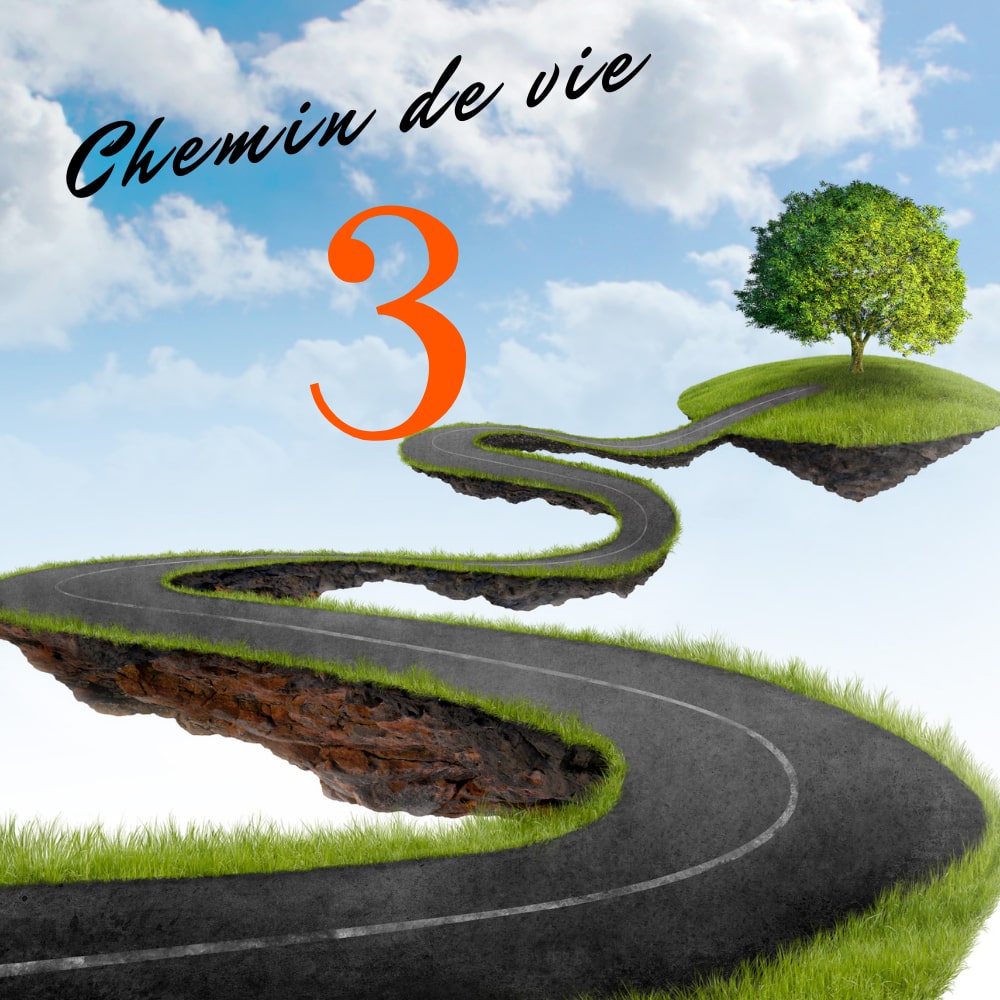 Chemin de vie 3