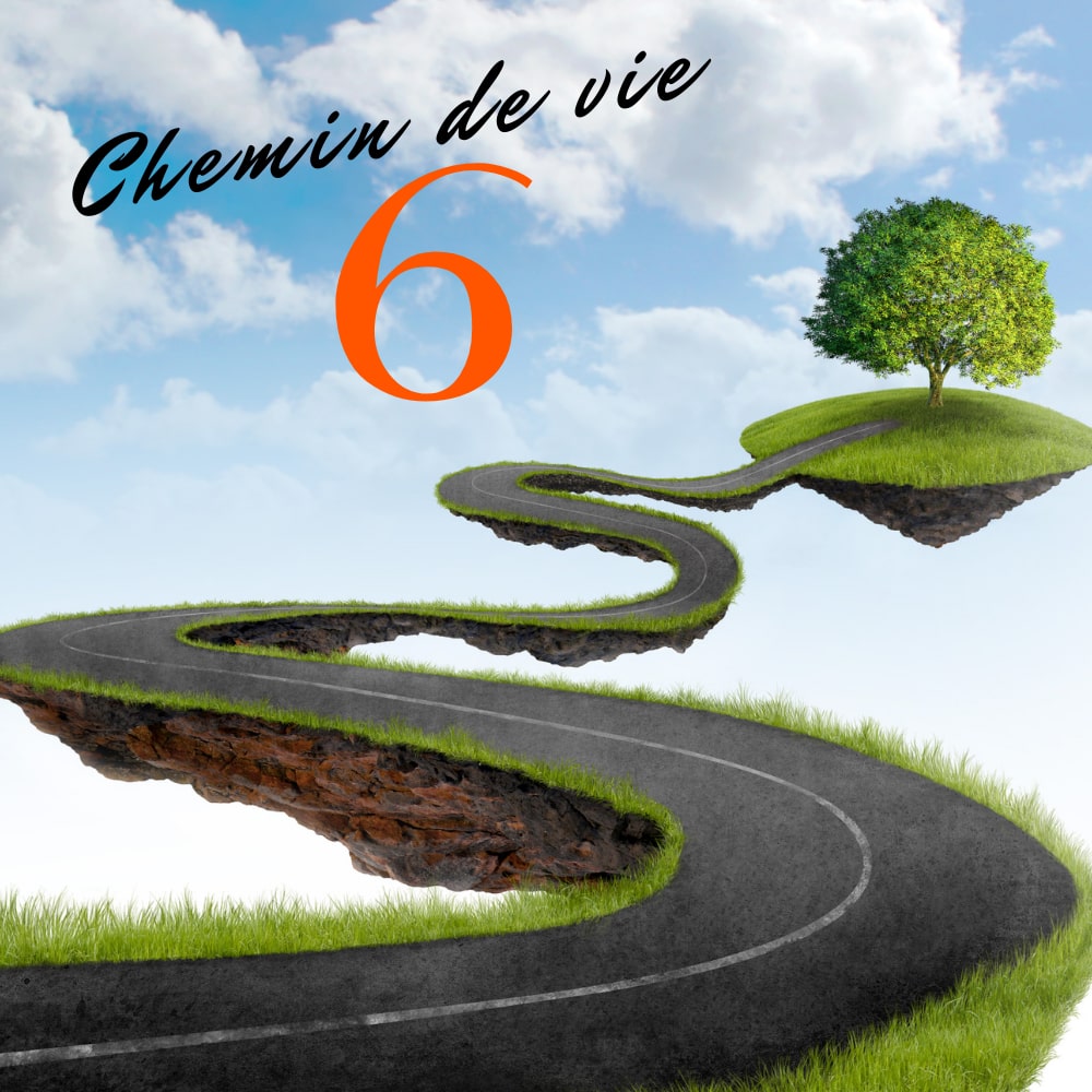 Chemin de vie 6