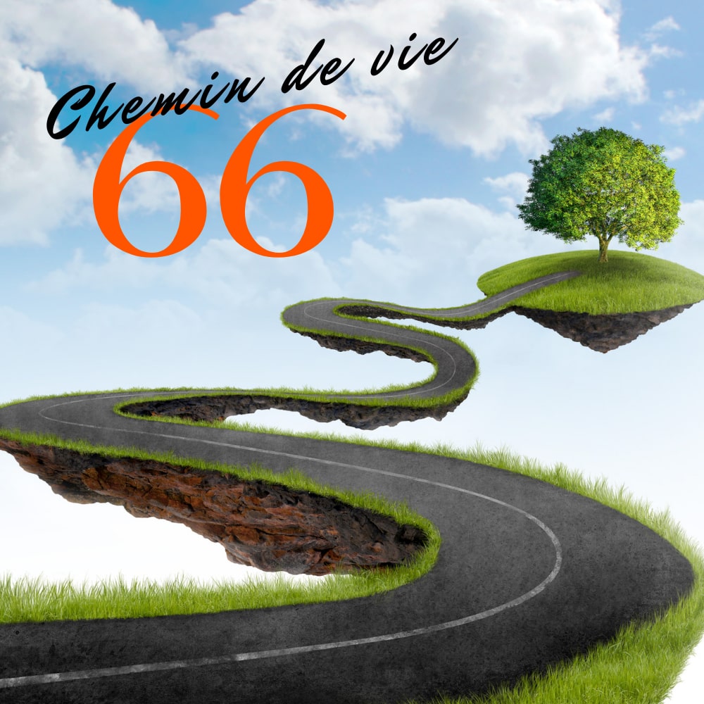 Chemin de vie 66